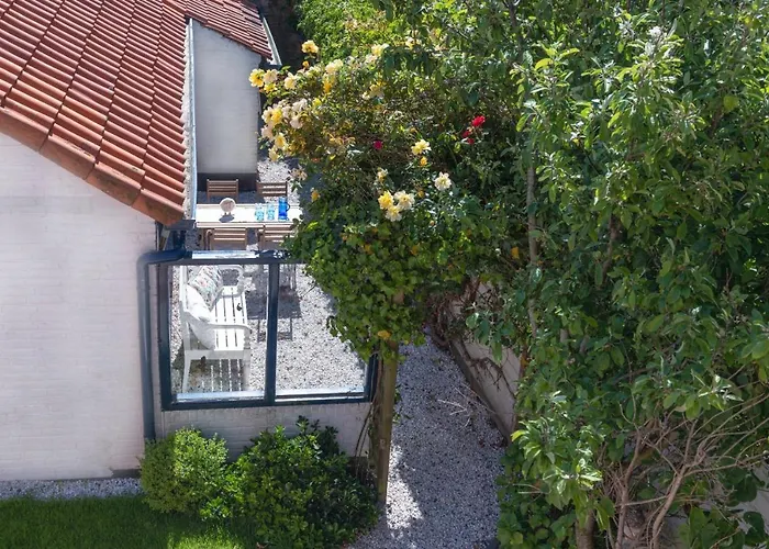B&B Duinblick De Koog 