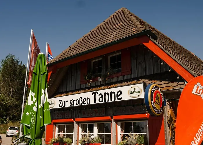 Hotel Zur grossen Tanne Bühl