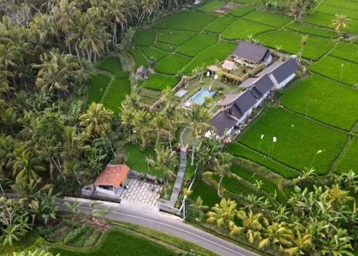 Green Coconut Cottage Ubud
