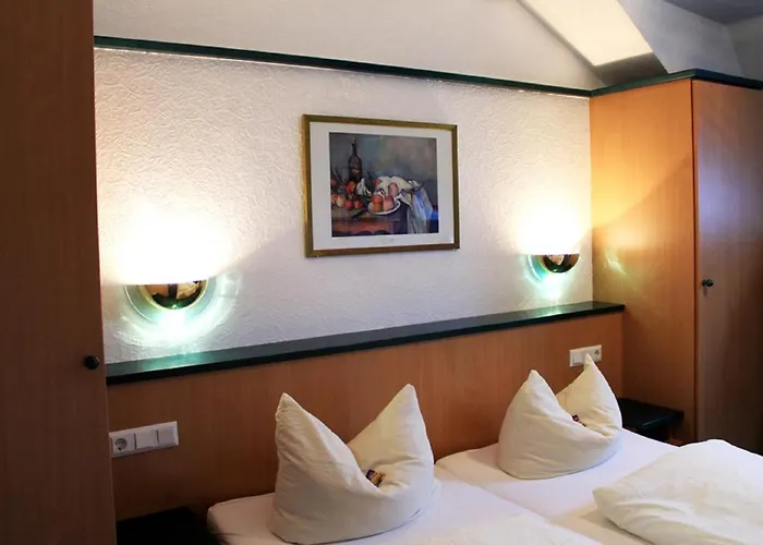 Hotel-Landgasthof Gruener Baum - Dittigheim Tauberbischofsheim