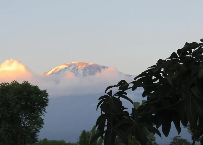 Kilimanjaro White House Hotel Moshi