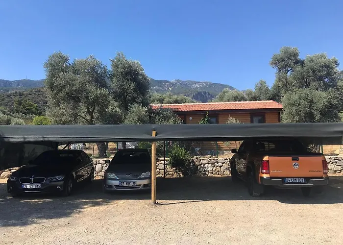 Oliva Casa Datça