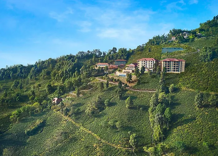 Taj Chia Kutir Resort & Spa Darjeeling Darjeeling 