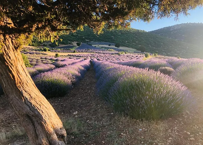 Aliya Konak - Köy Evi ve Lezzetleri Isparta