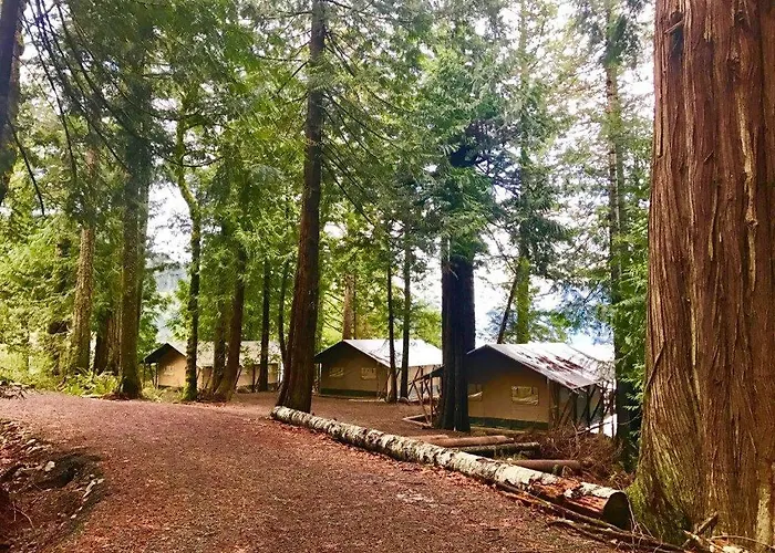 Brown'S Bay Resort Campbell River