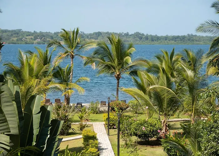 Dolphin Blue Paradise Bocas del Toro
