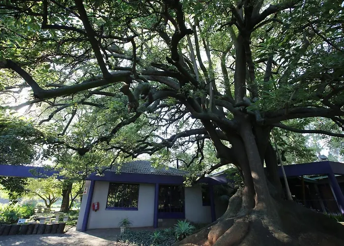 Big Tree Midrand Hotel