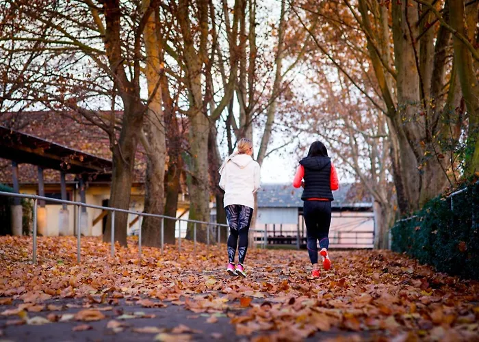 Hotel Pagony Wellness Nyíregyháza