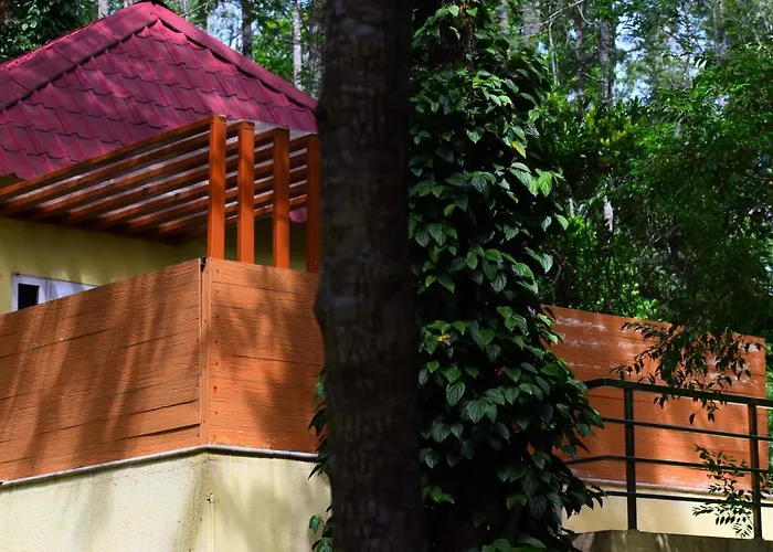 The Brook Resorts & Spa Yercaud
