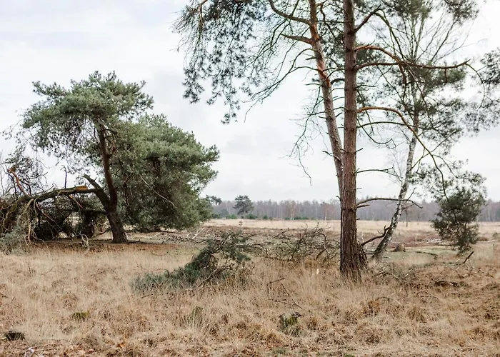 B&B Studiolke Heeze