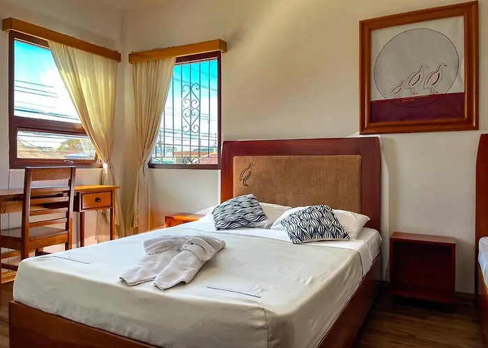 Hotel Luz De Luna San José