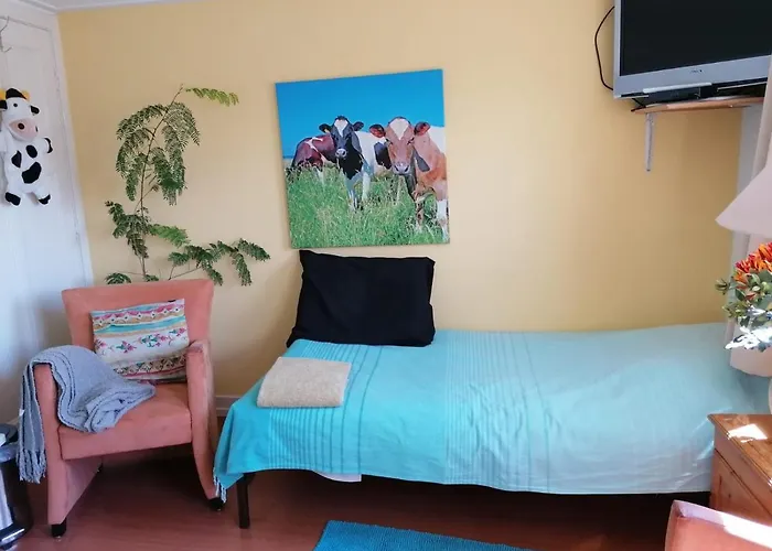 B&B Bij de koeien Tubbergen