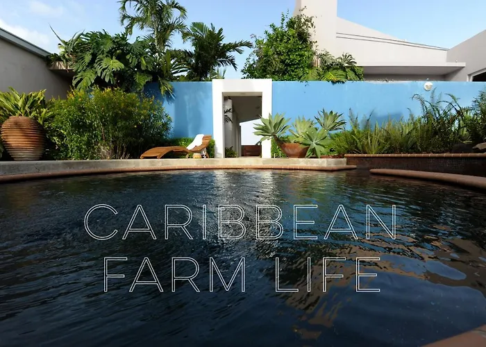 4 Casitas Bed & Breakfast Cabo Rojo