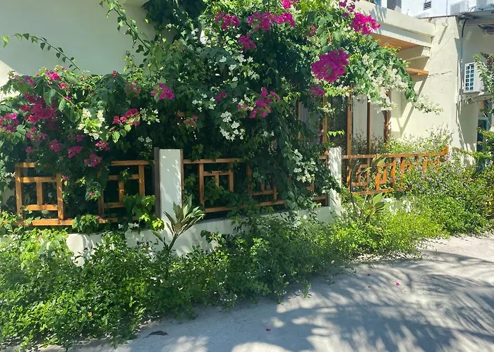 Bougainvillea Inn - Maldives Fulidhoo