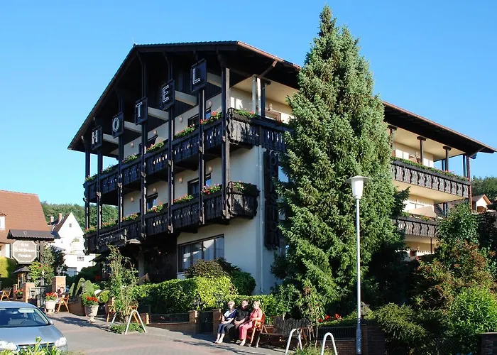 Hotel Schloessmann Bad König