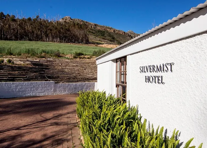 Silvermist Organic Wine Estate Cape Town