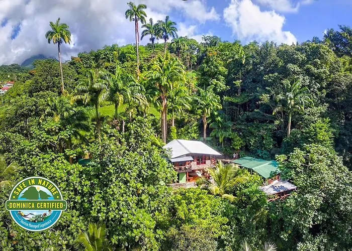 Cocoa Cottage Roseau