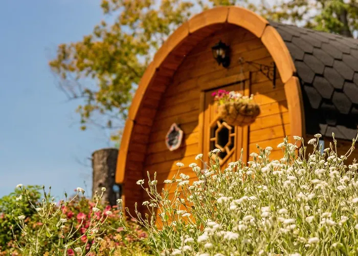 Marlborough Wine Barrel Cabins Blenheim