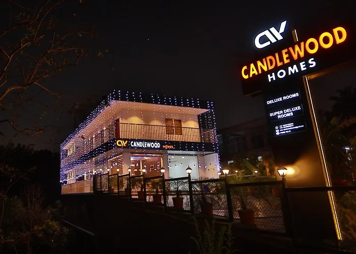 Candle Wood Munnar Anachal