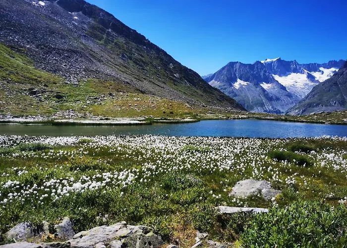 Hotel Derby Fiesch