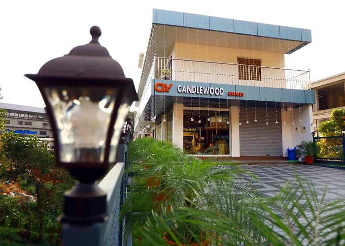 Candle Wood Munnar Anachal