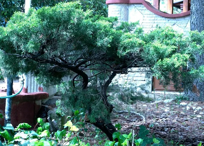 Vila Albatros Rovinj