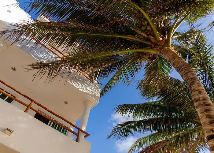 Hotel & Beach Club Ojo De Agua Puerto Morelos
