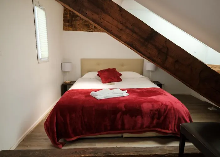 Hôtel du Raisin Lausanne