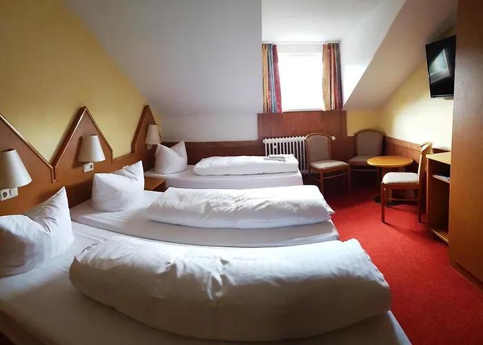 Meister BÄR HOTEL Frankenwald Berg 