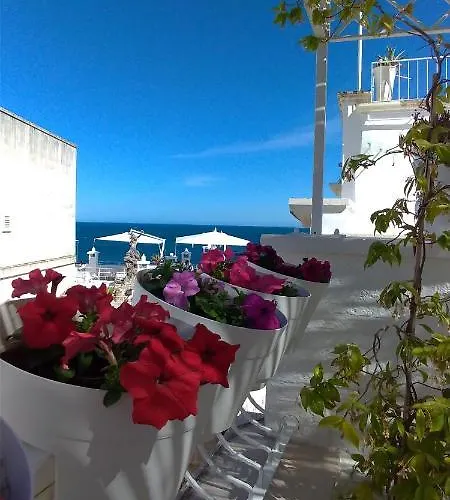 My Monopoli- Casa Dei Fiori "Orchidea" Centro Storico Hotel