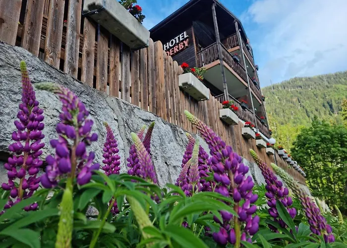Hotel Derby Fiesch