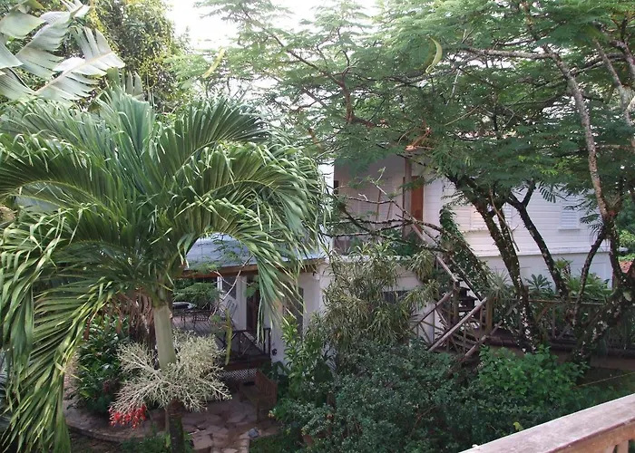 Bluebelize B&B Punta Gorda
