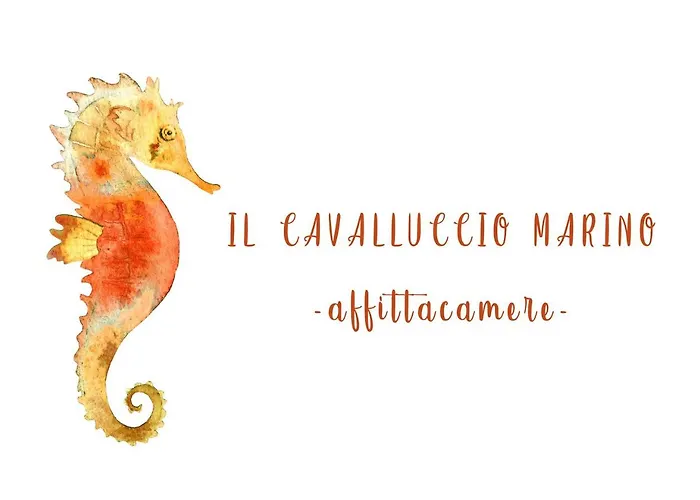 Il Cavalluccio Marino Manarola