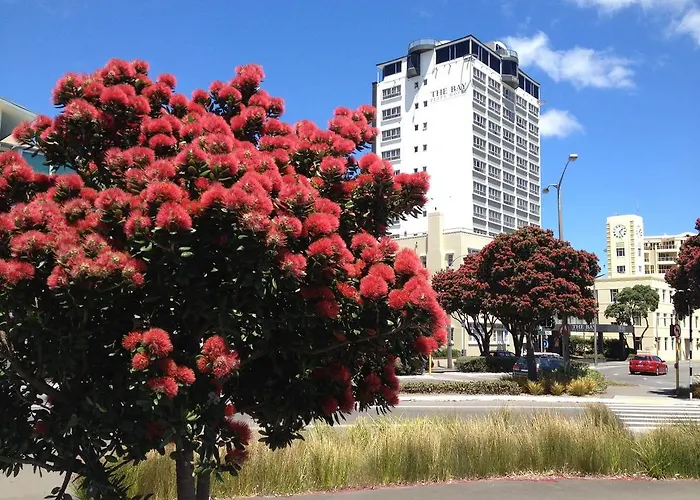 Bay Plaza Hotel Wellington