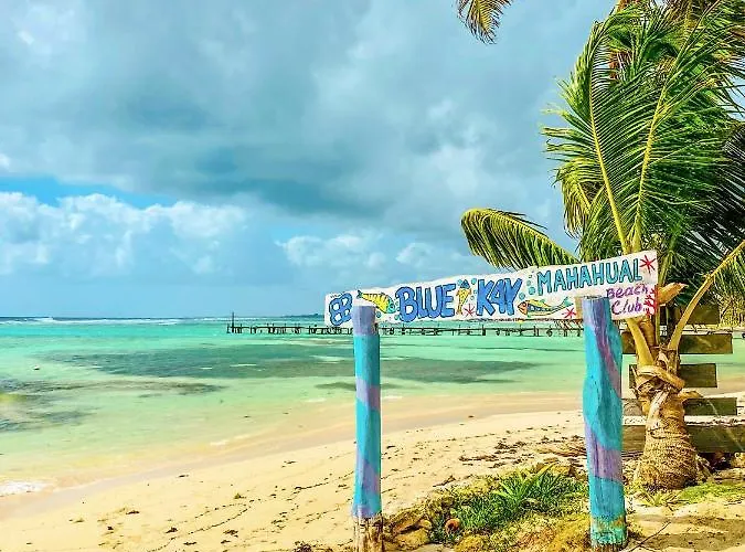 Eco Cabanas Bluekay Mahahual