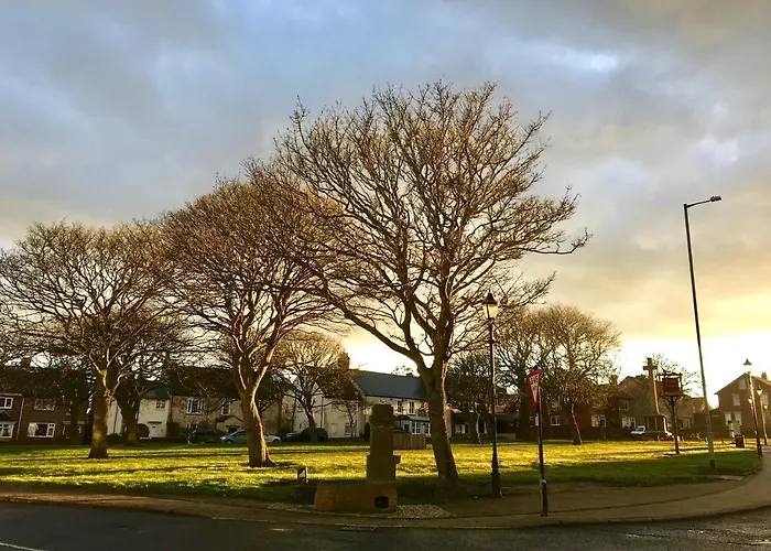 Albion Boutique Guest House Sunderland 