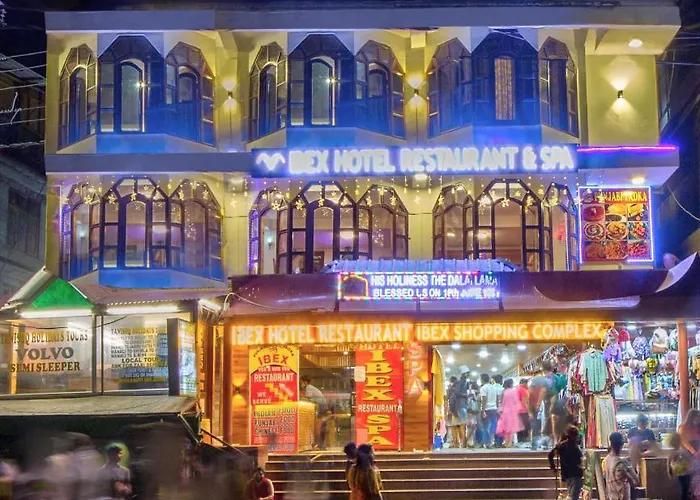 Hotel Ibex Manali 