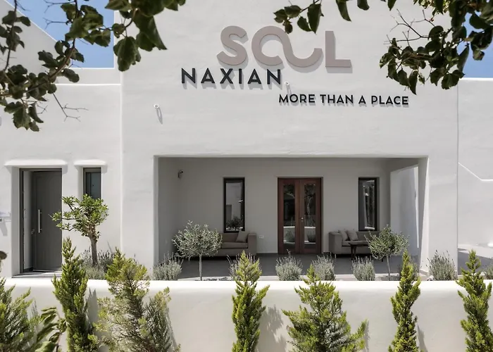 Naxian Soul Aparthotel Agia Anna 