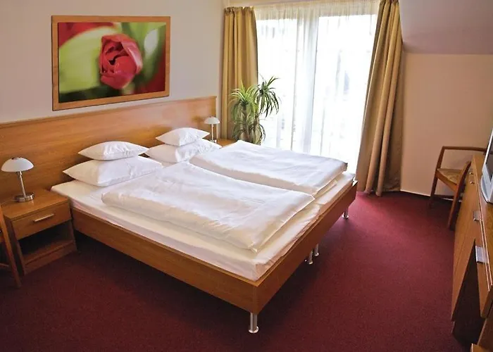 Promedicum Panzio Panzió Veszprém