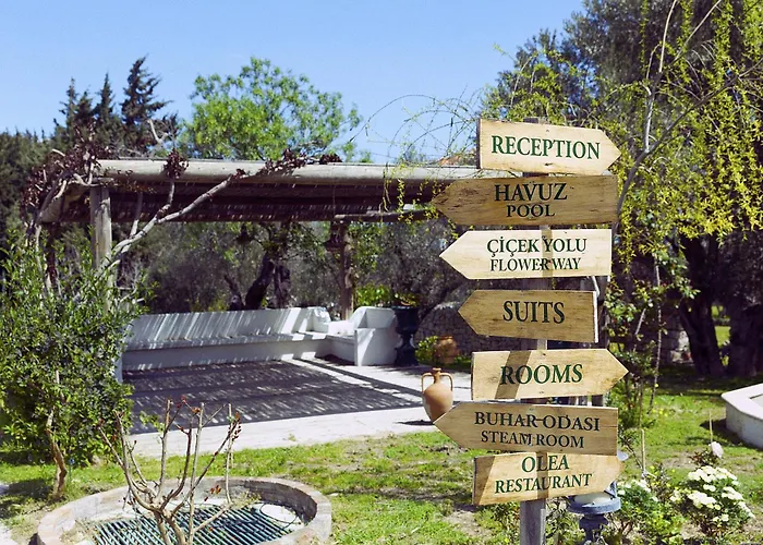 Olive Farm Of Datca Guesthouse (Adults Only)