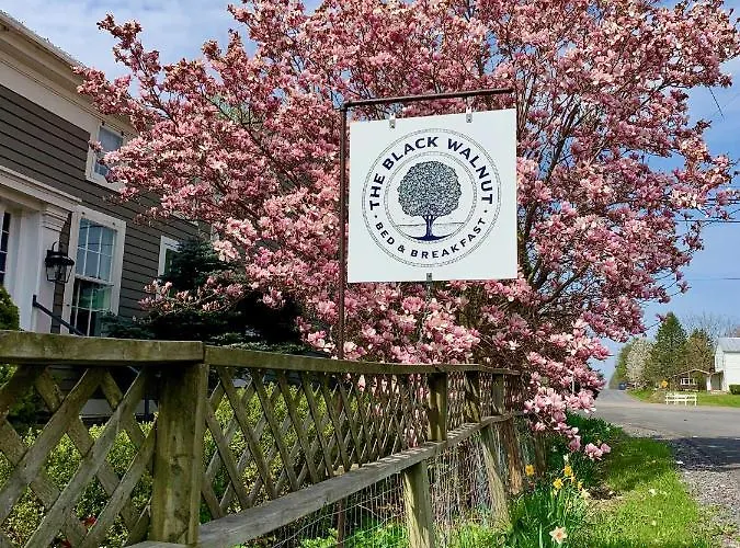 Black Walnut Bed And Breakfast Interlaken