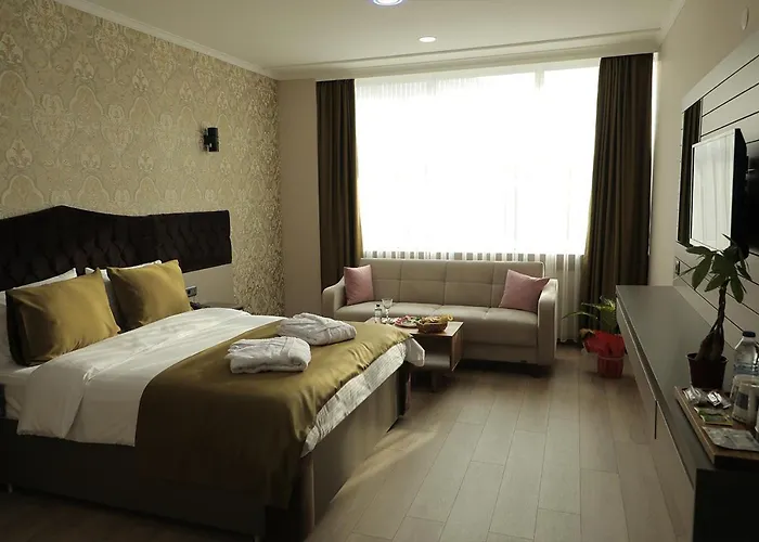 Elıt Otelhan Amasya