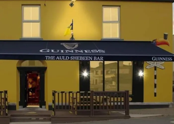 The Canalside B&B At The Auld Shebeen Bar Athy