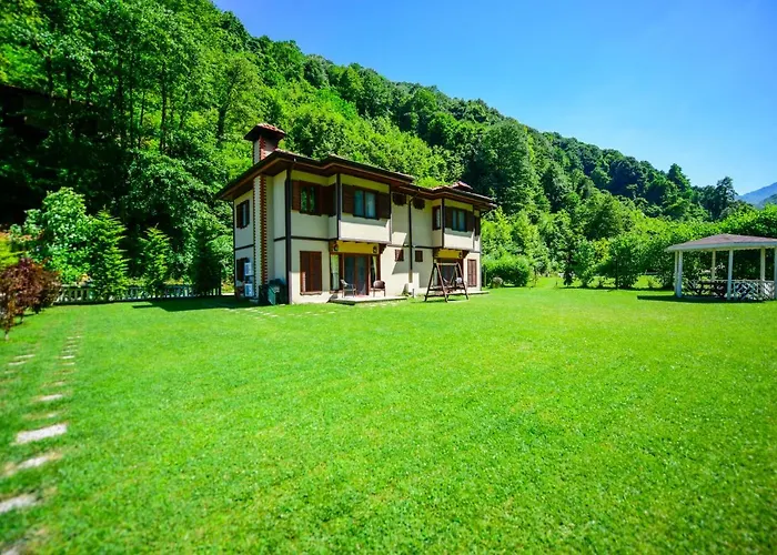 Naturkoy Sapanca Sakarya 