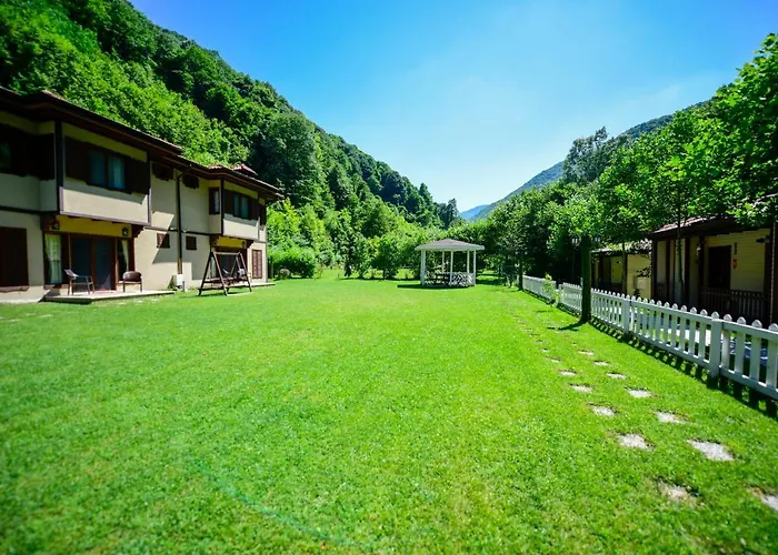 Naturkoy Sapanca Sakarya 