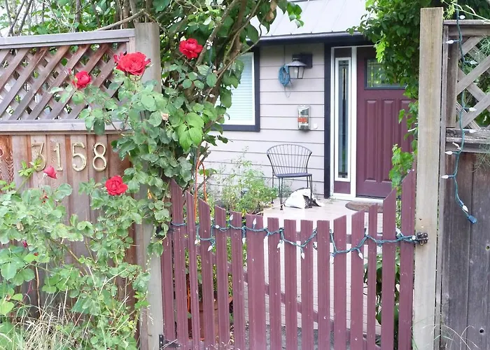 Cycle Inn Bed And Breakfast Langford