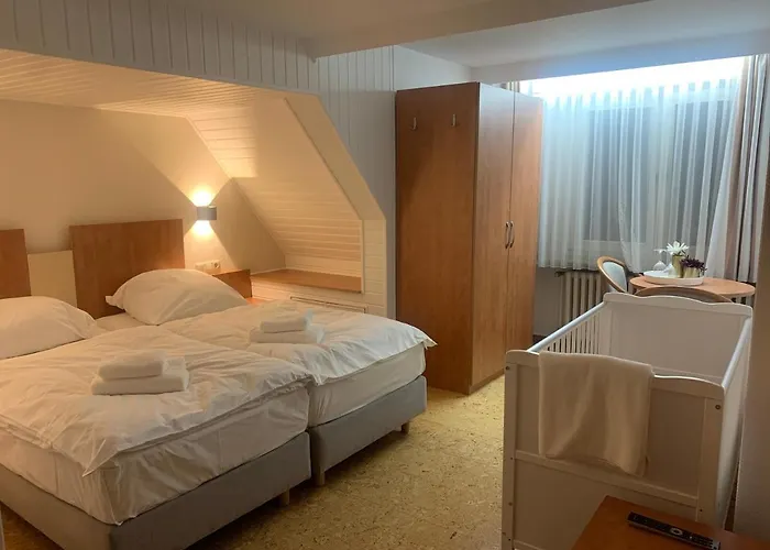 Hotel Gold'Ne Krone Oppenheim
