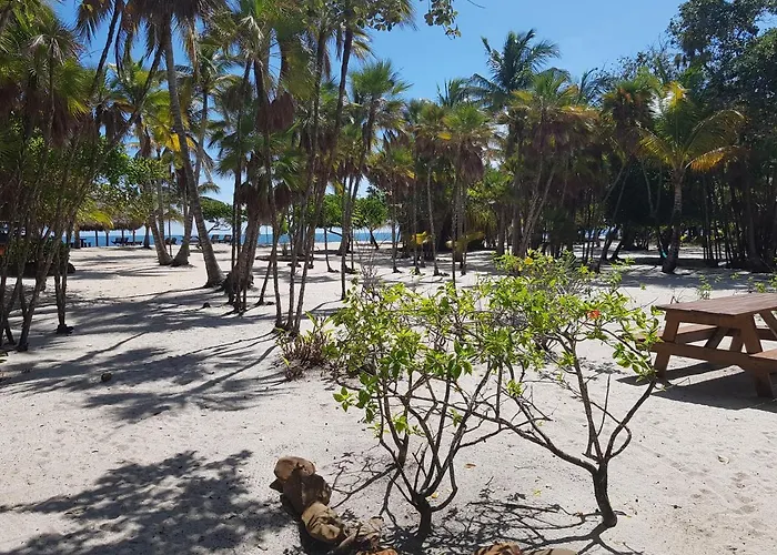 Wild Orchid Hotel Placencia