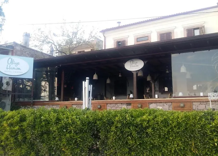 Aliye Hanim Hotel Ayvalı