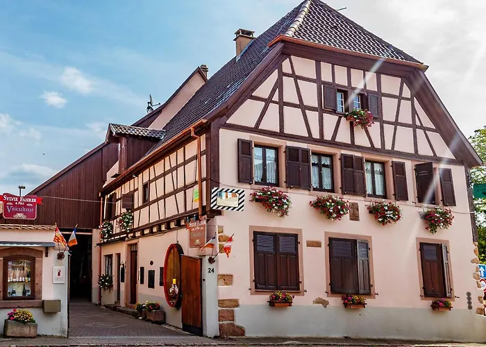 Sylvie Fahrer Et Fils Bed and Breakfast Saint-Hippolyte 